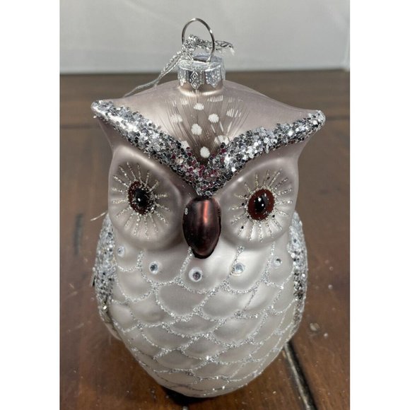 Robert Stanley Other - Owl Bird Silver Glittery Rustic Glass Christmas Holiday Ornament NWT